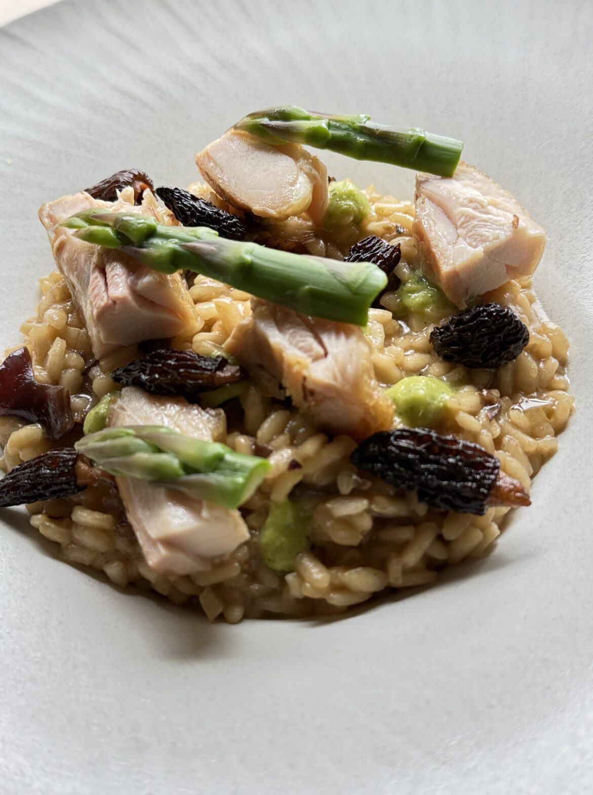 Wild mushroom risotto, chicken, crispy morels, asparagus & pea coulis, asparagus