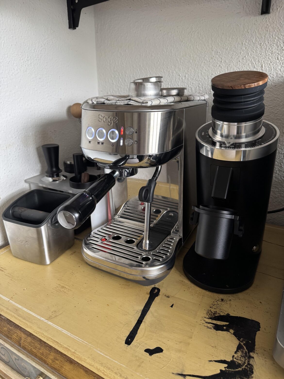 Bambino was lonely. Got him a friend