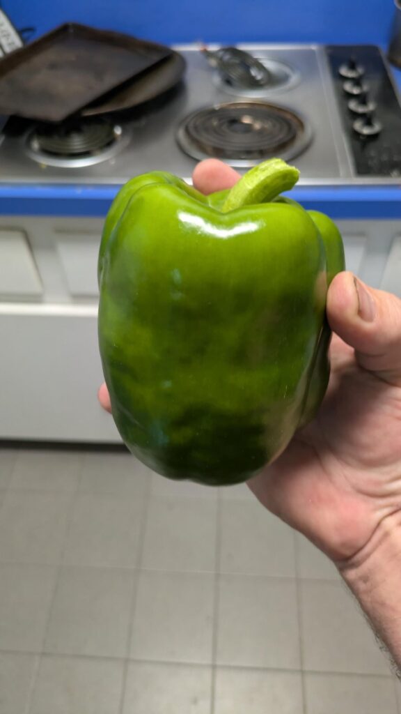 First Bell Pepper of the 2025 season!