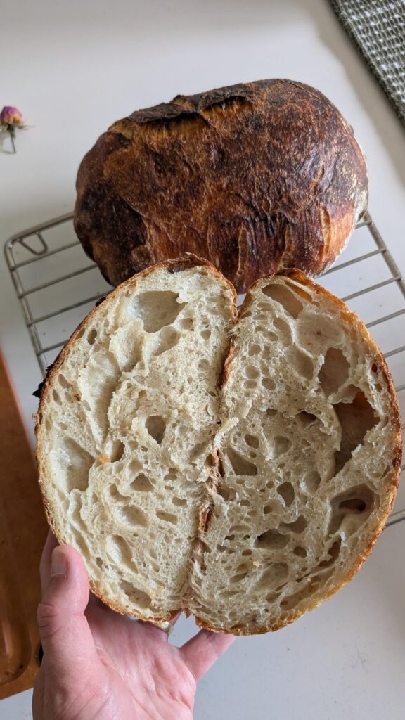 First sourdough from selfmade day 7 Starter
