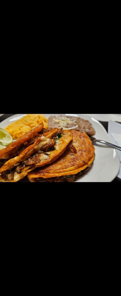 Rositas on Lawrence is amazing for Birria