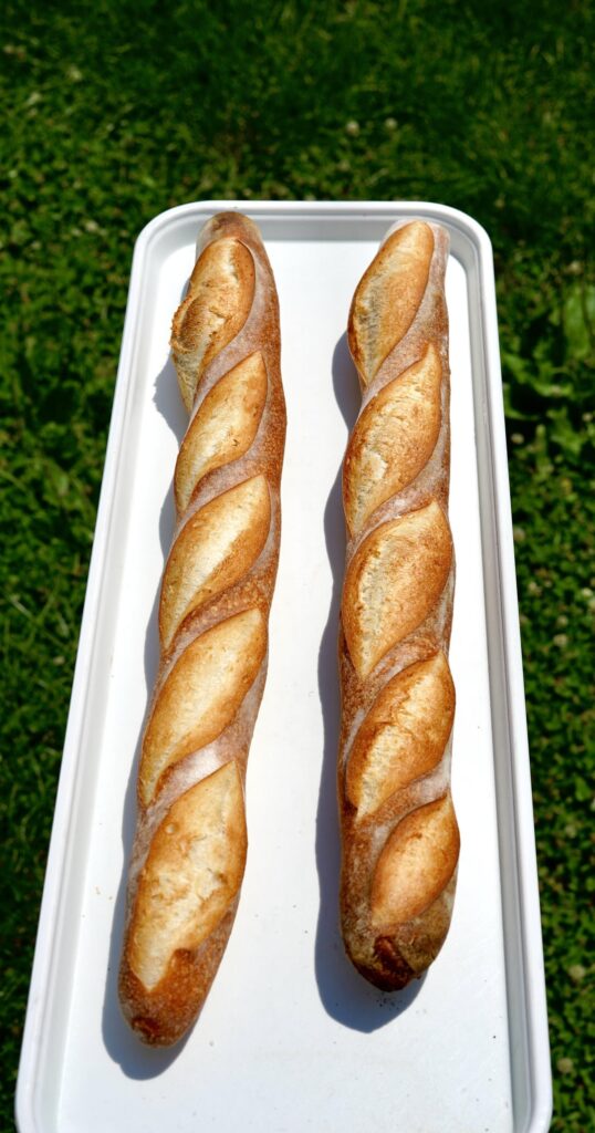 Home oven baguettes!