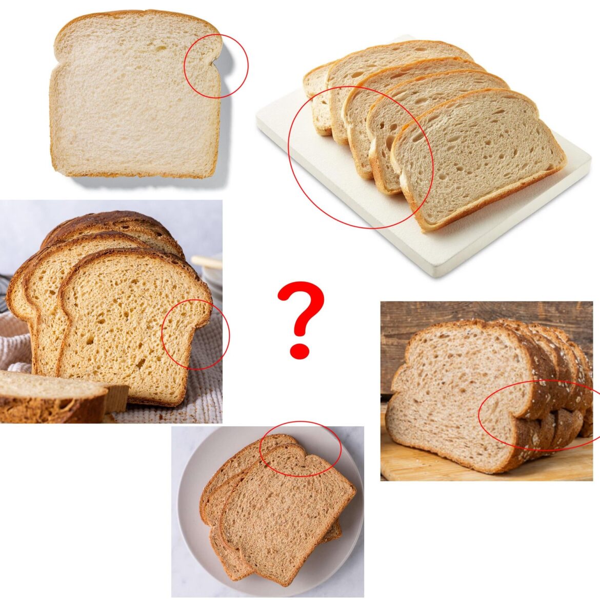 What is this ridge on bread called?