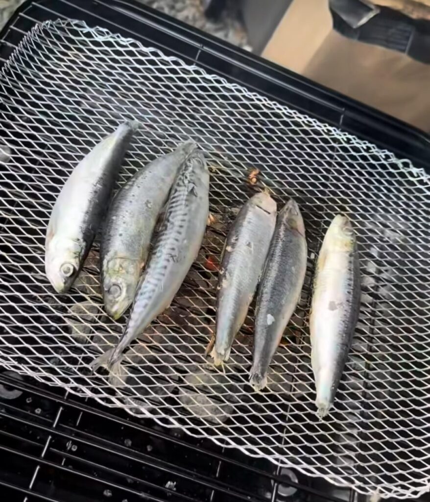 Some more grilled sardines