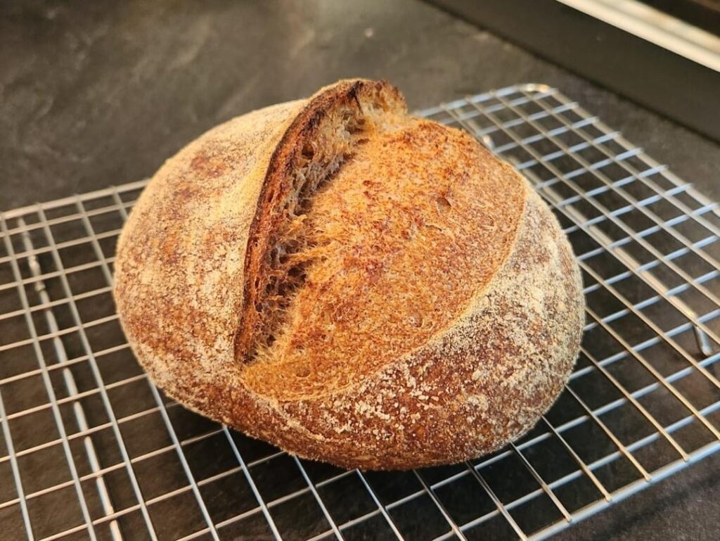 100% sprouted whole wheat sourdough 100% sprouted whole wheat sourdough
