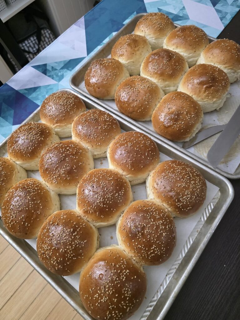 I made too many sourdough discard burger buns!