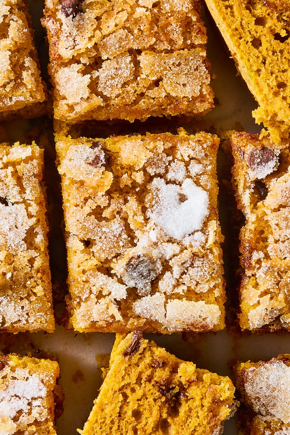 pumpkin chocolate chip breakfast cake