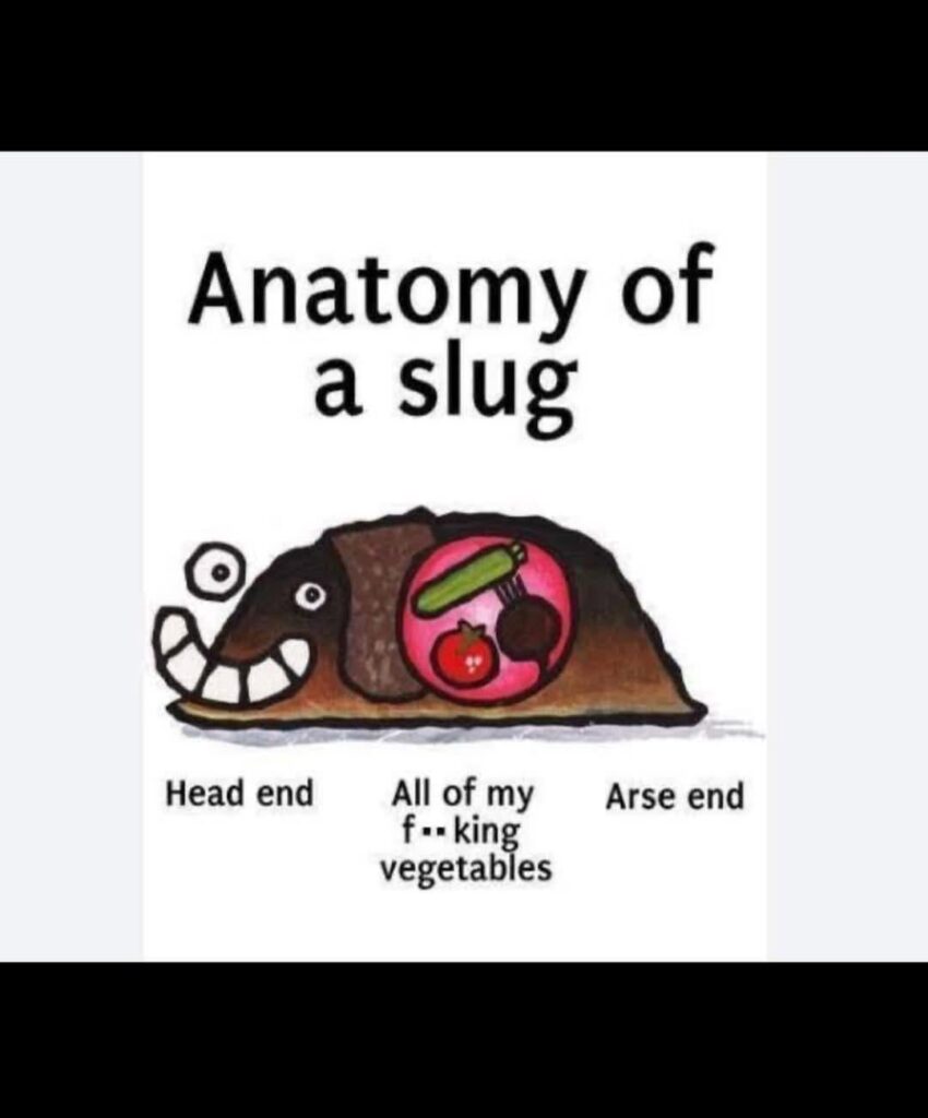 Relatable anyone?😅😂