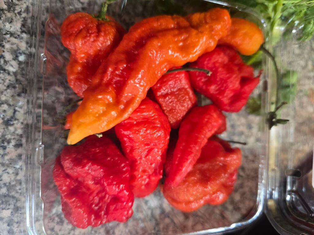 Pineapple-Mango Ghost Pepper Hot Sauce