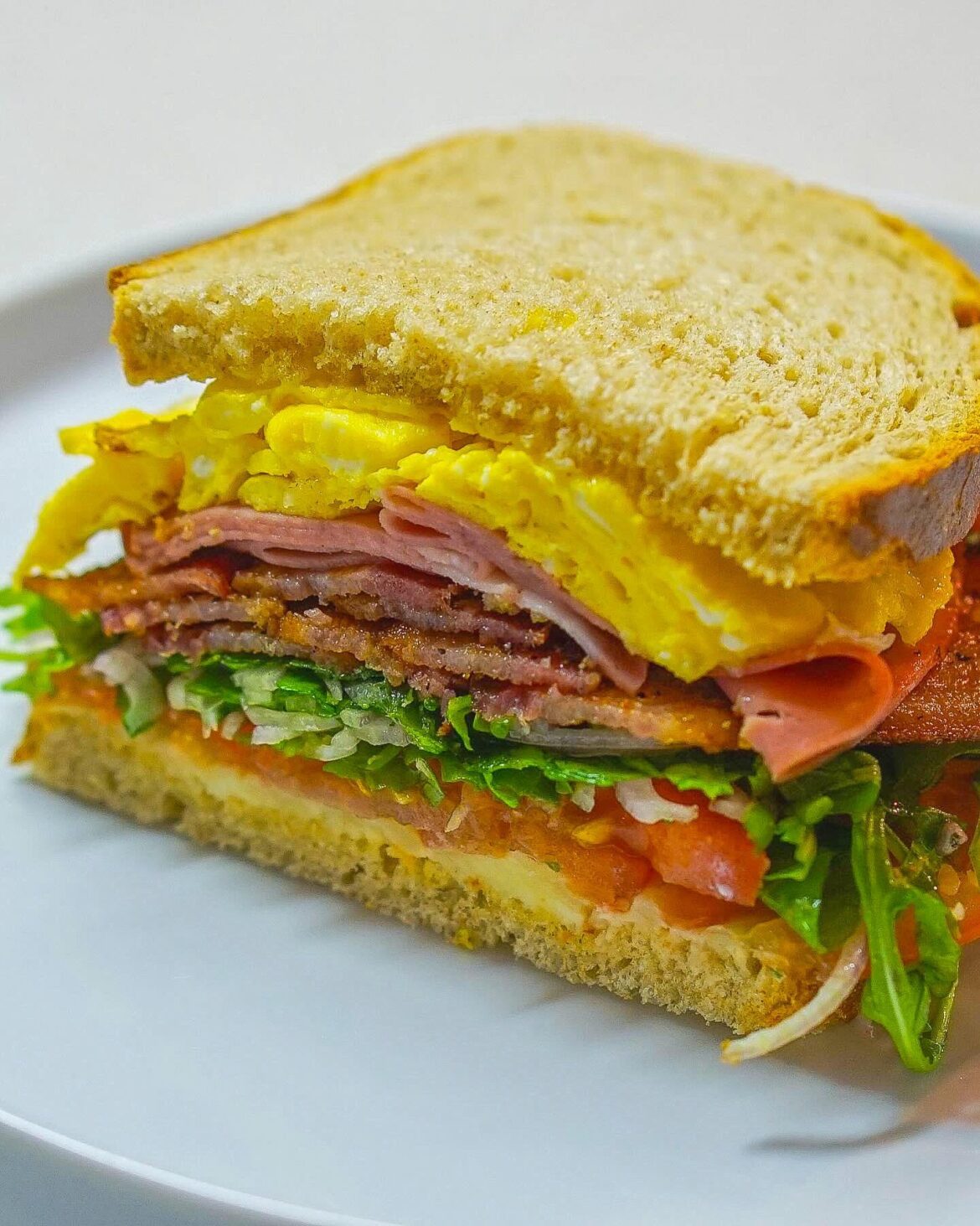 sourdough, mozzarella, tomato, arugula and onions, bacon, mortadella, and eggs