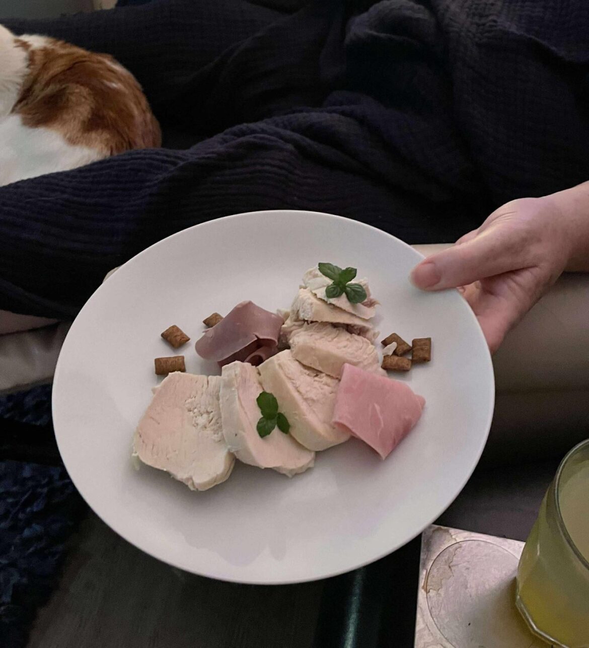 $700 charcuterie board I made for my two cats this evening