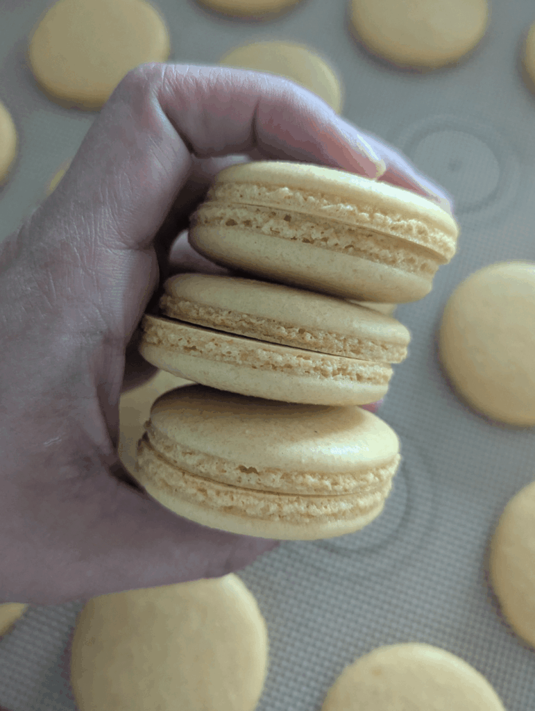 It's been a year of hiatus, happy to be back! 🥰