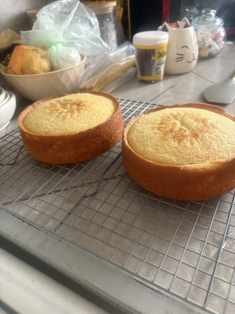 My first ever homemade cake. How did I do? 😊