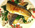 Seabass