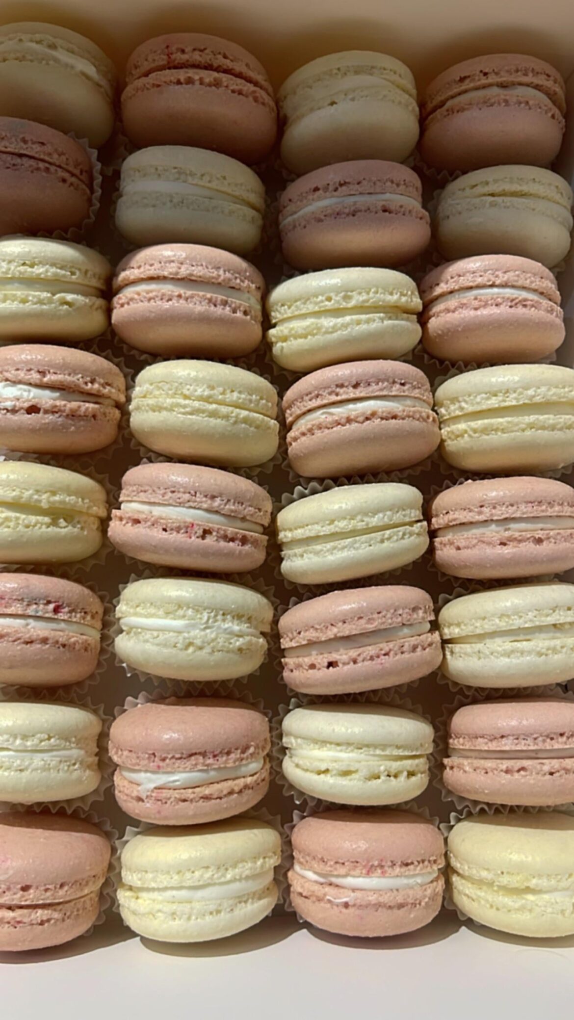 Macarons du jour ❤️