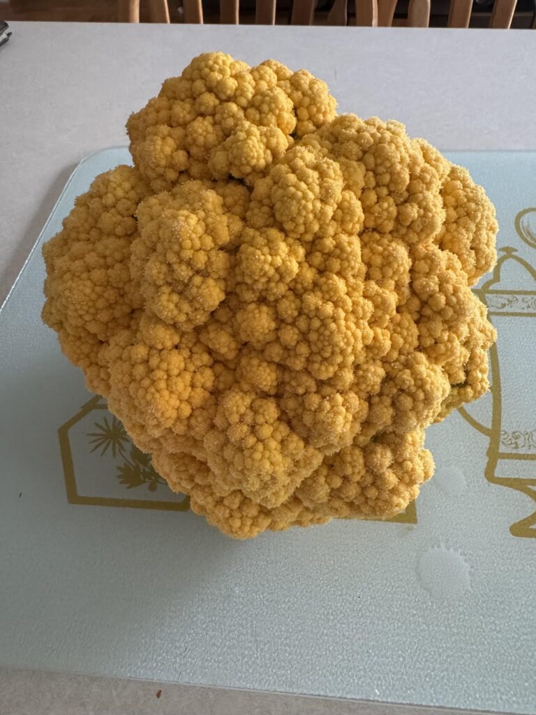 Orange you glad we can grow our own veggies?