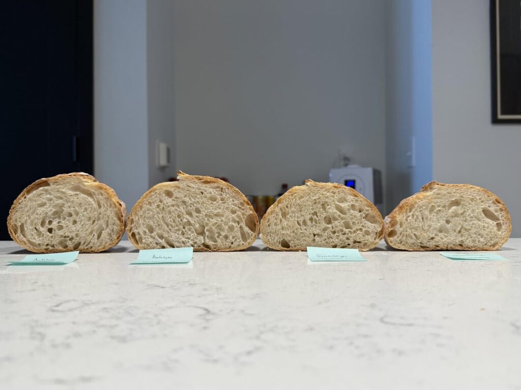 Autolyse vs fermentolyse and different shaping techniques! Which is your favourite? Autolyse vs fermentolyse and different shaping techniques! Which is your favourite?