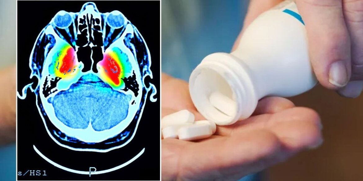 Natural supplement boosts muscle strength and memory