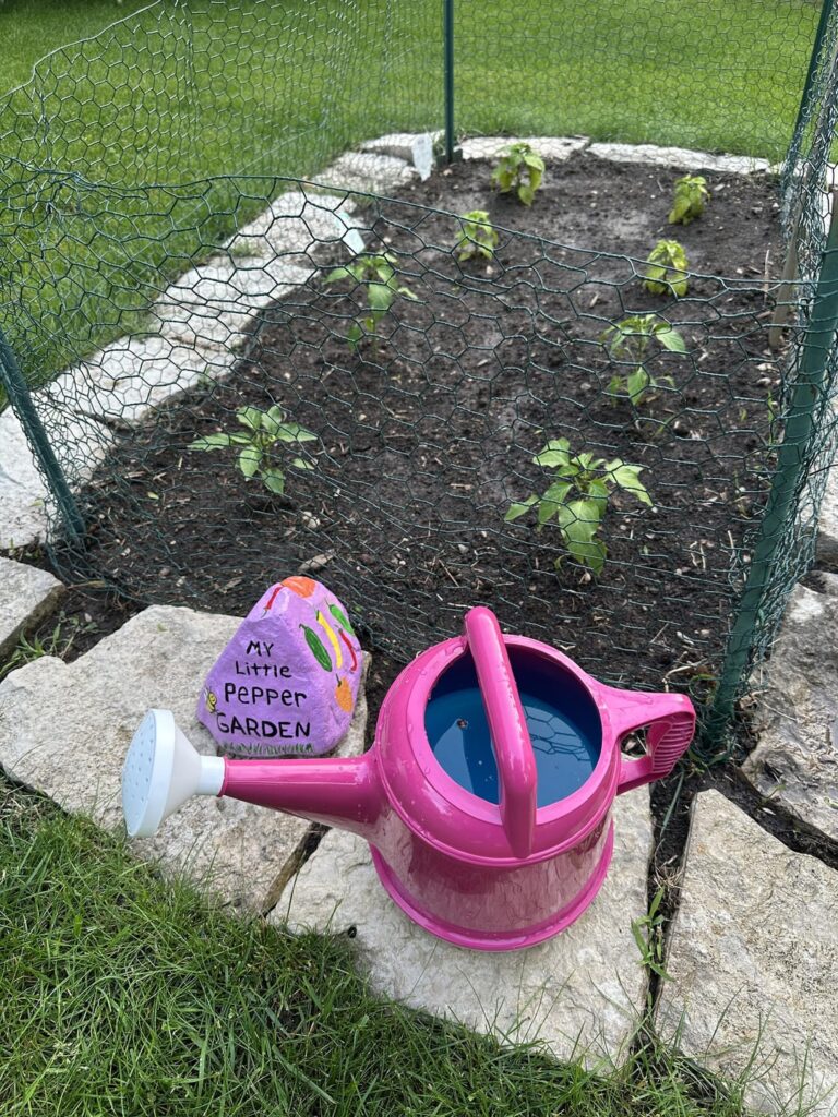 Requesting positive vibes for my first ever pepper garden!