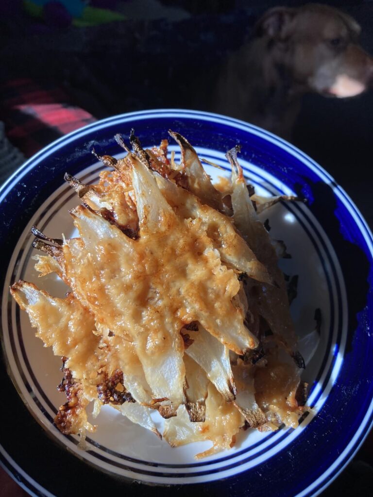 Parmesan cheese onions  + dog tax