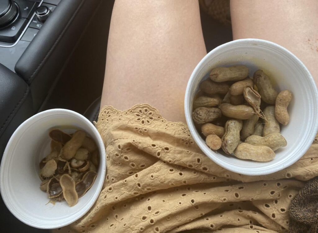 hot soggy peanuts from a gas station in rural georgia lol