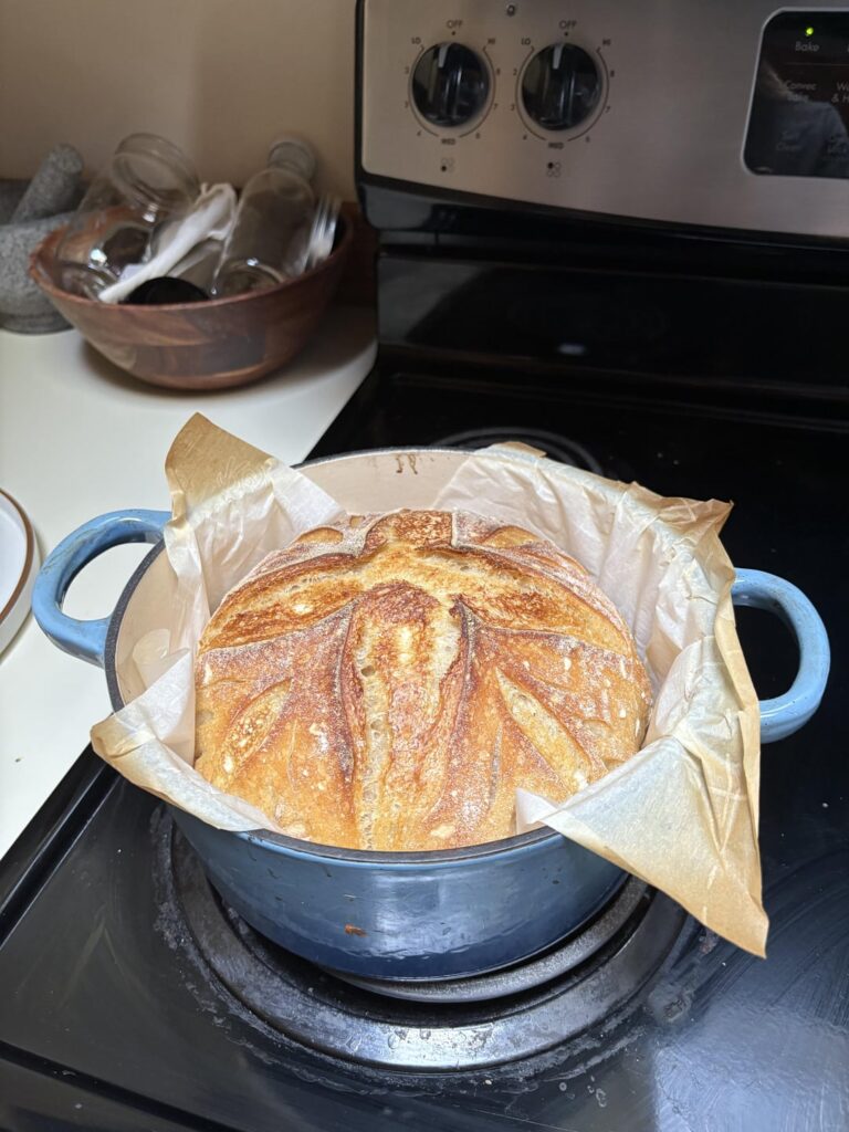 First attempt! Would love feedback First attempt! Would love feedback