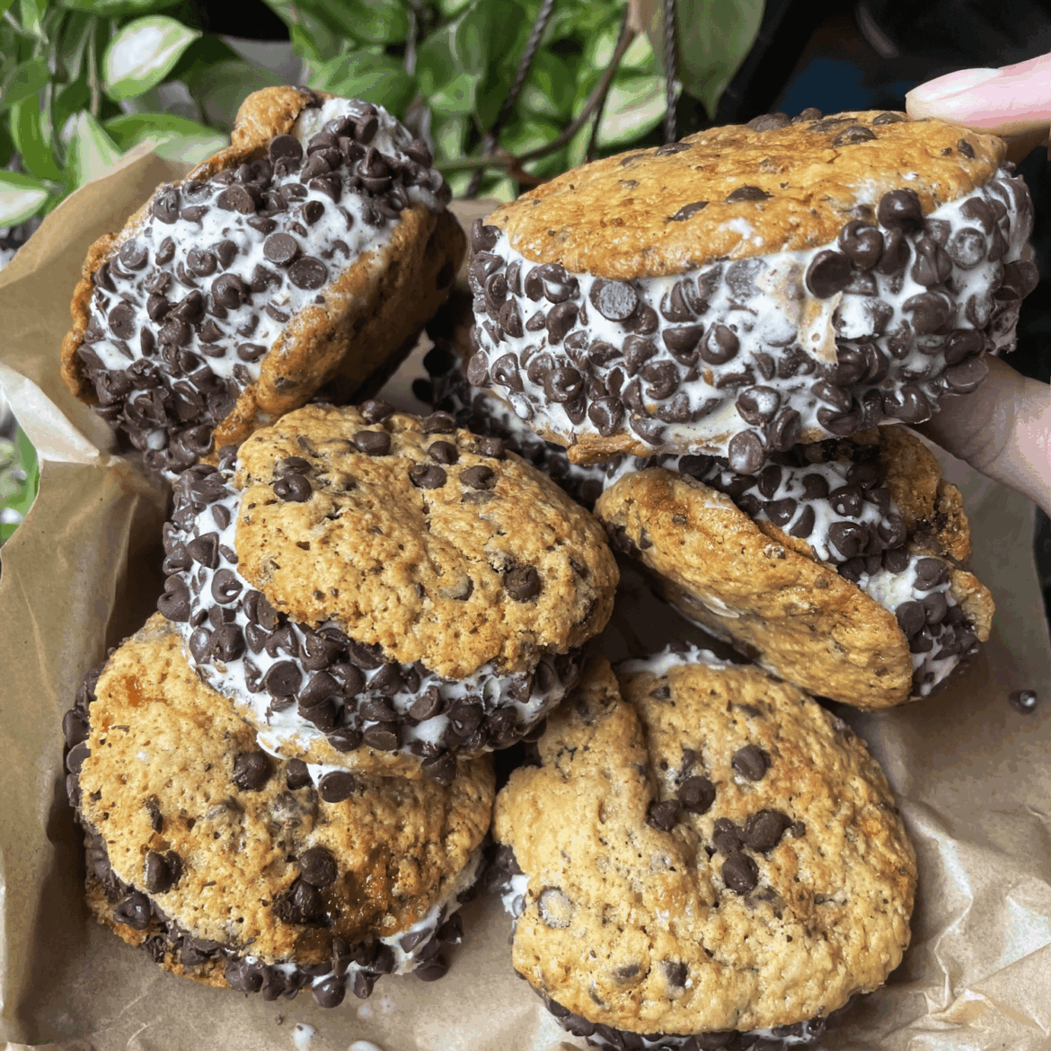 I made Stella Park's homemade "Chipwich" ice cream sandwiches