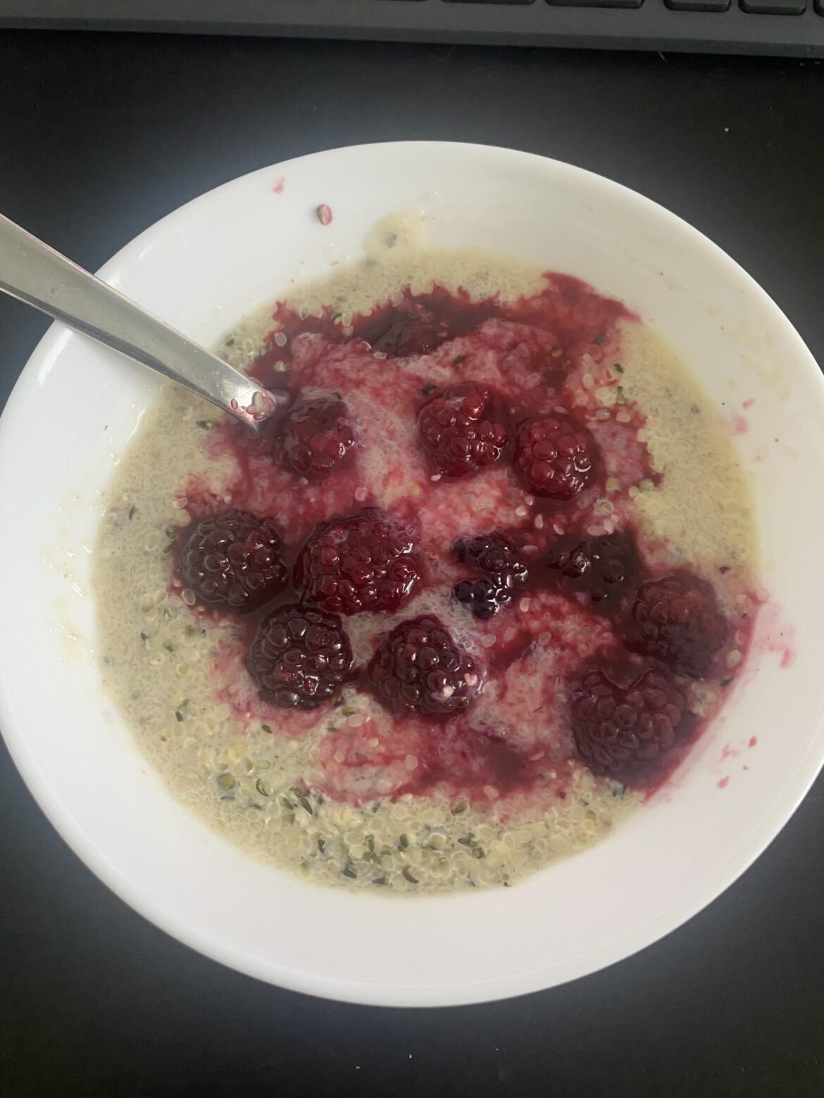 Psylium and chia pudding with Proteinpowder and berries