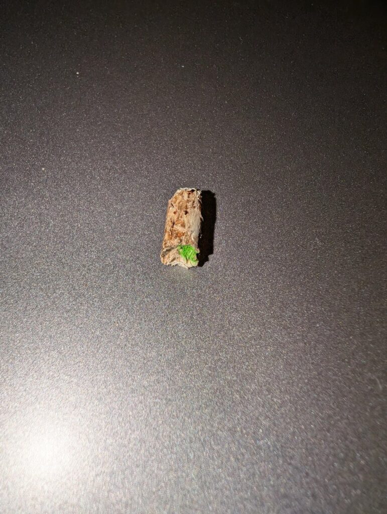 What's this green stuff in my Traeger Pro Blend pellet?