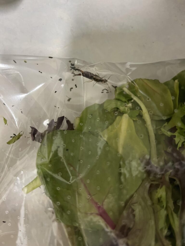 Little bit too fresh if you ask me…