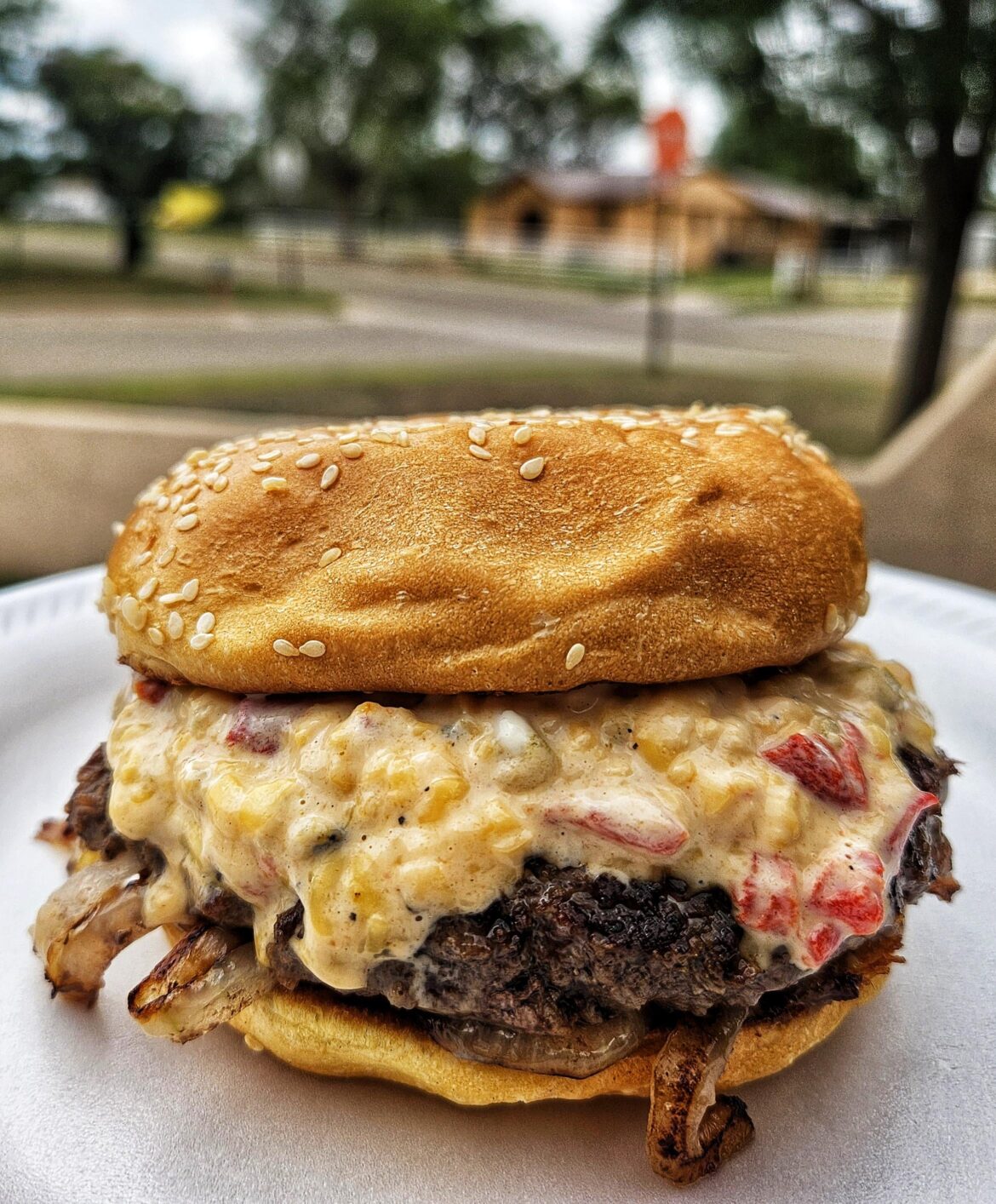 Green chile pimento cheeseburger, take 2. This time with fried onions and mustard.