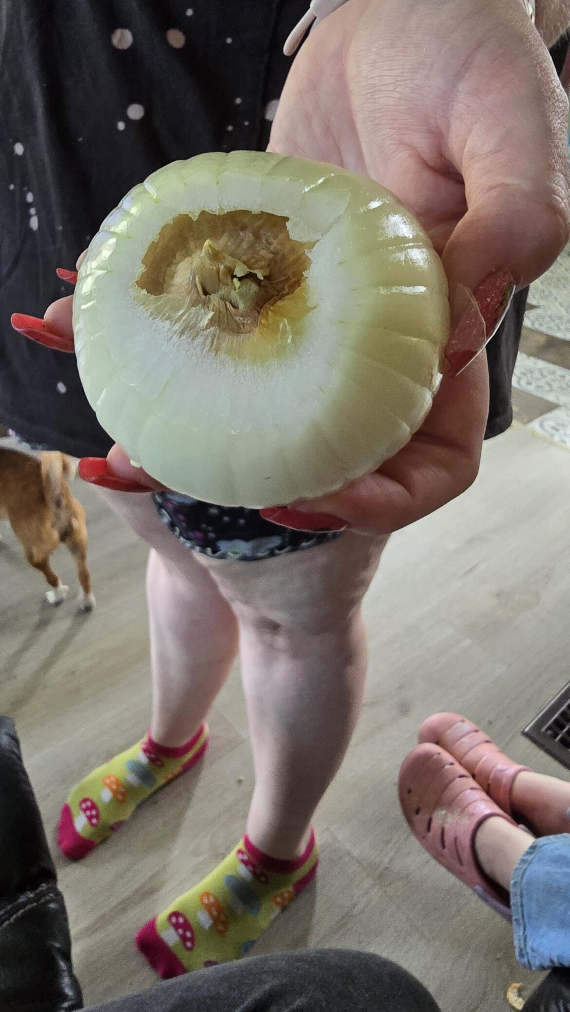 My wife found an onion in her onion!