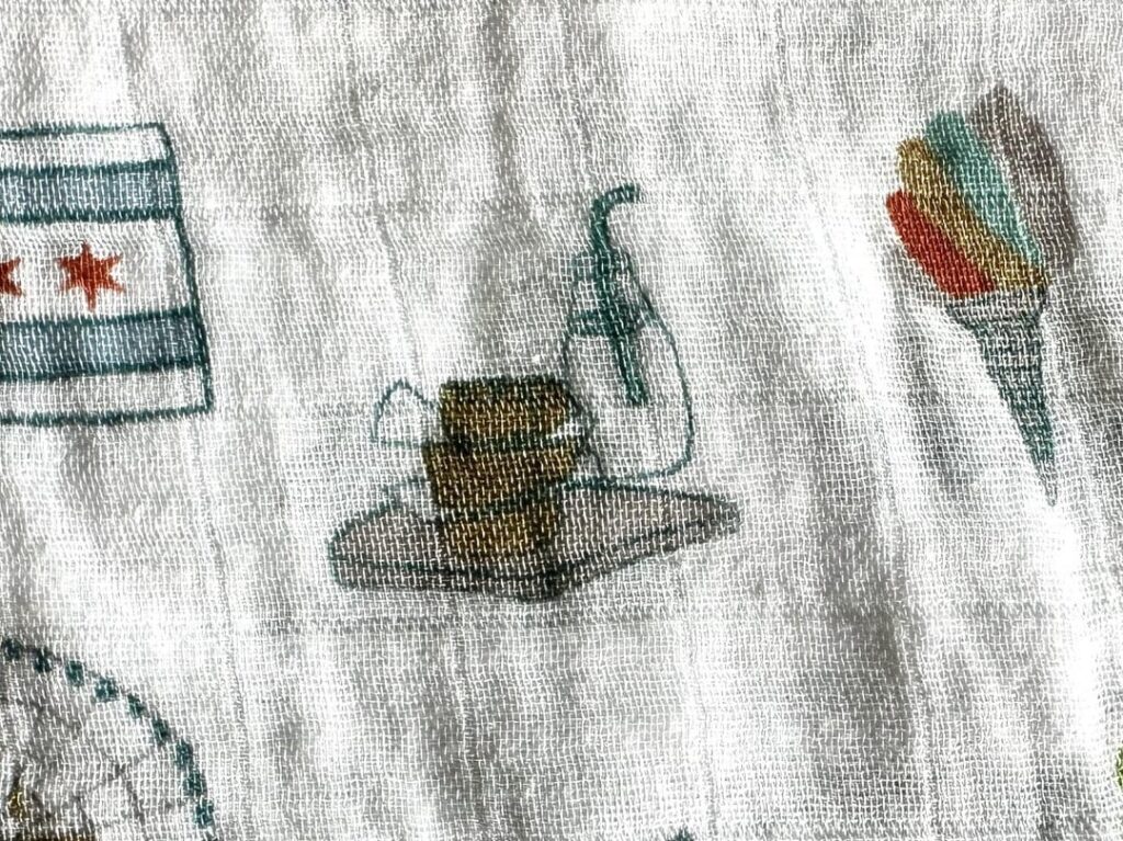 What food is this on a Chicago themed baby blanket?