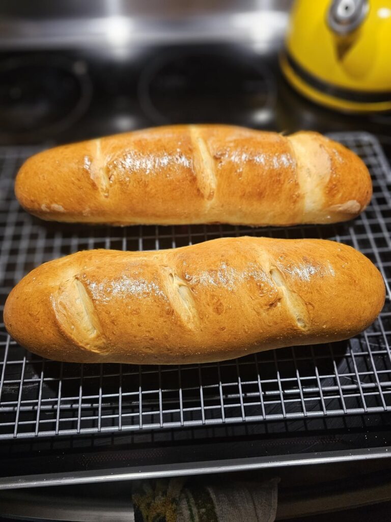 My first Italian bread loaves