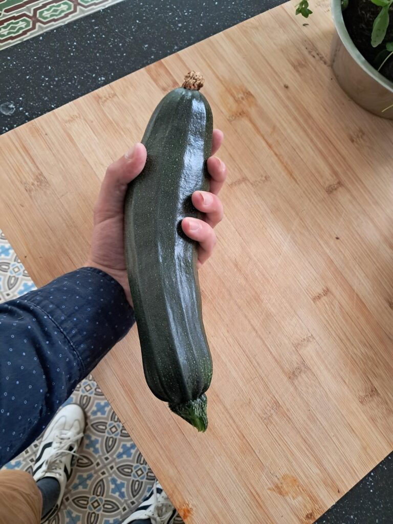 My first ever vegetable from my first ever vegetable garden!