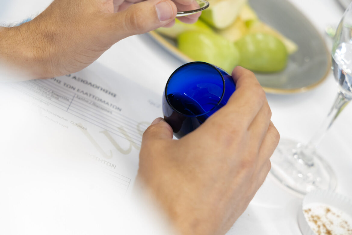 The results of oliValue Evaluation 2024/25