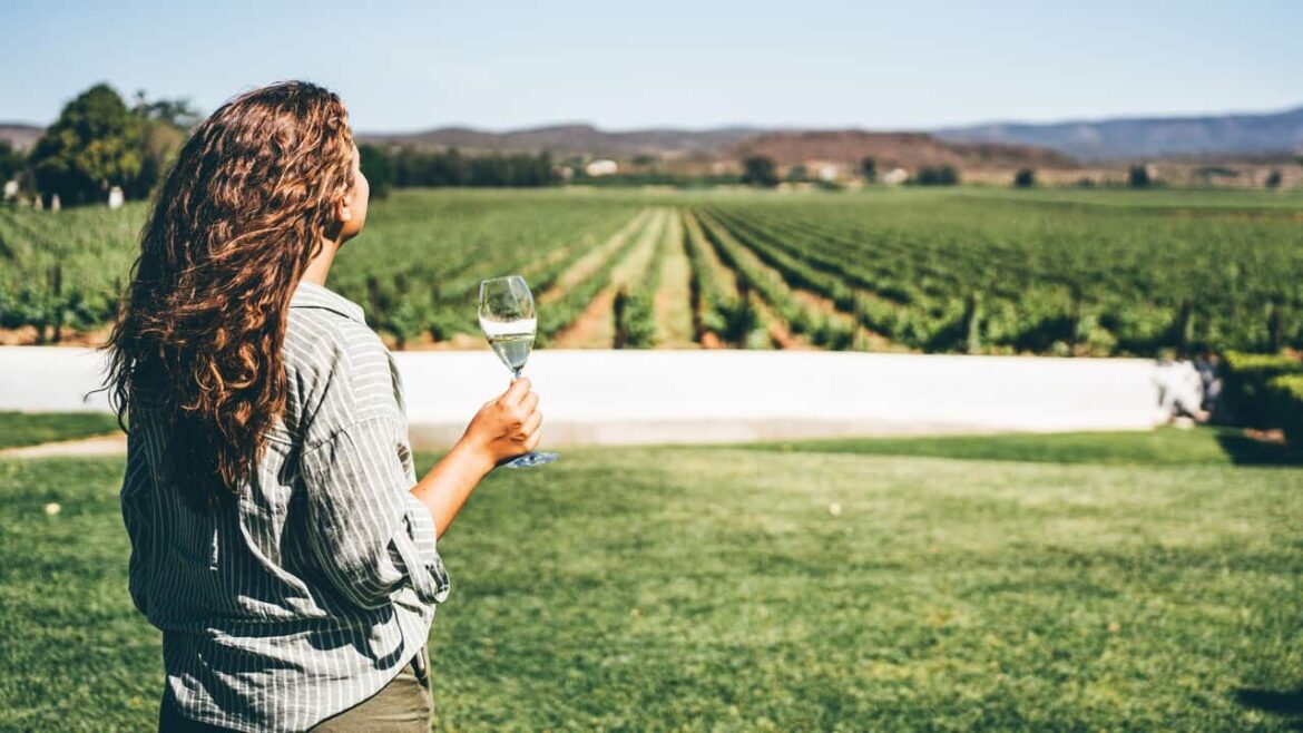 Wine tasting in a winery. Woman drinking white wine while standing at vineyard.