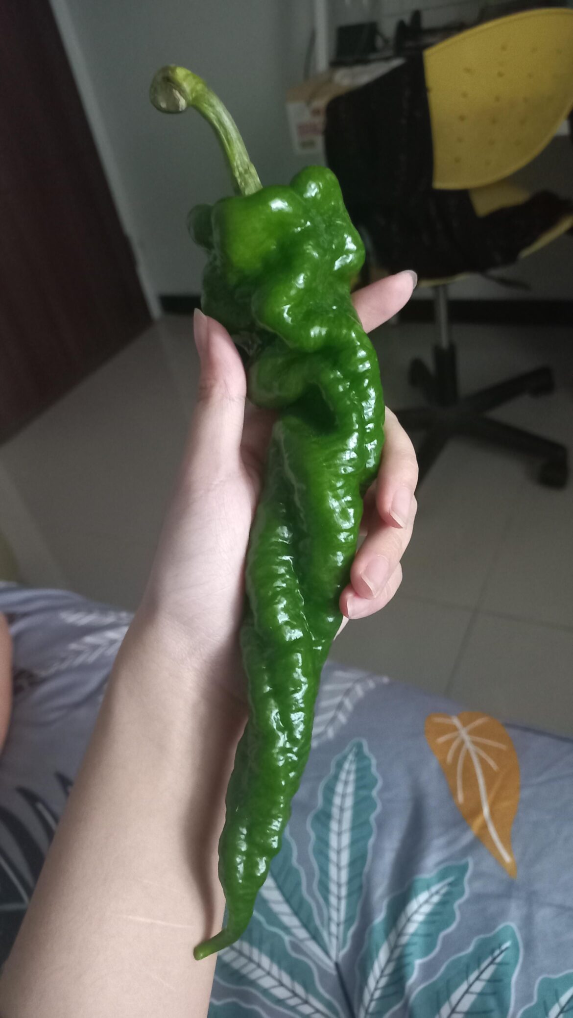 What is this pepper called?