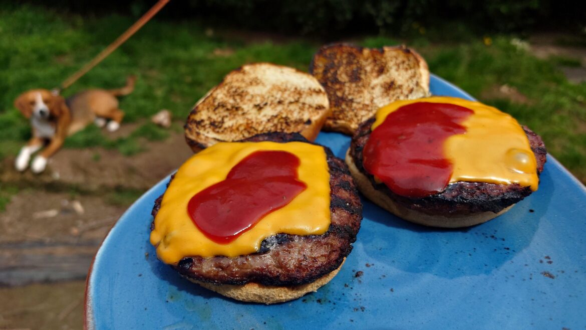 Took today off, so grilling up some simple cheeseburgers! A decent start to Monday!