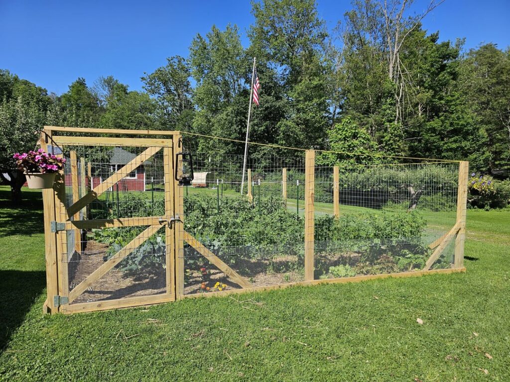 Over winter I set out on a mission to build a garden. Here are the results of all my hard work so far, and some photos of my plants thus far. Not bad for a person who has never grown anything before this!