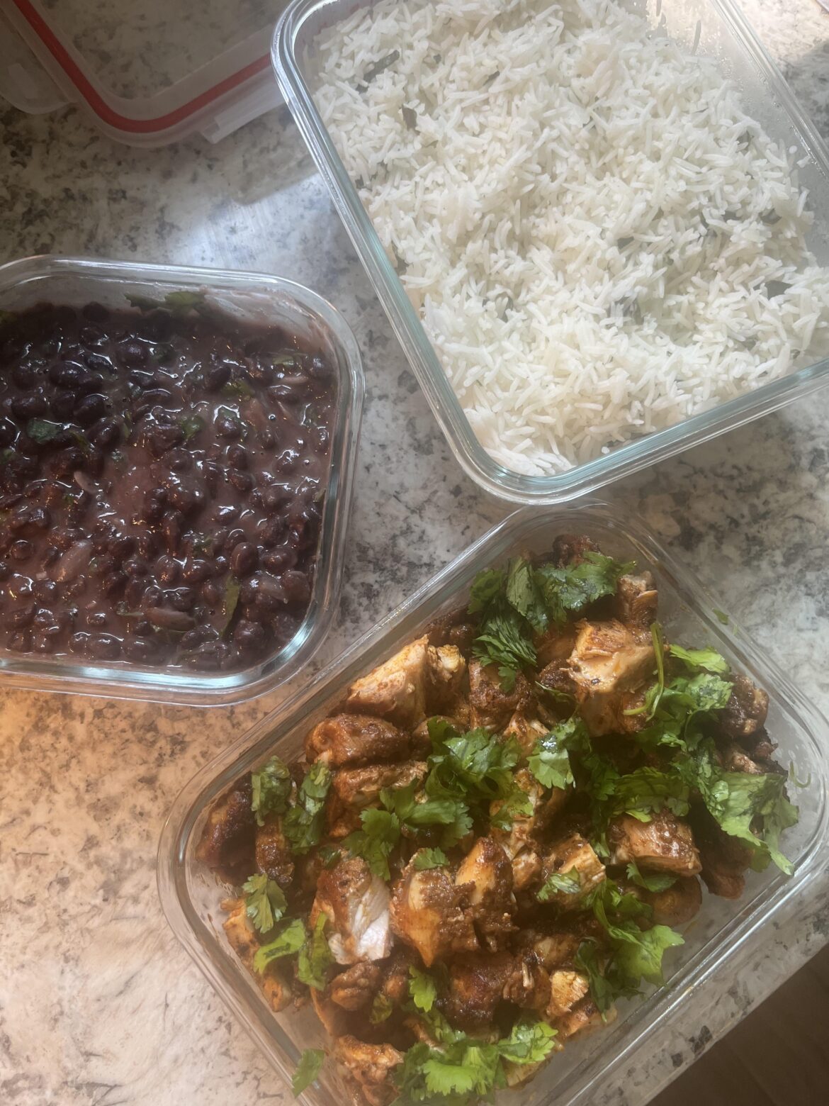 Half of the Chipotle bowl fillings I made in bulk for the upcoming work week