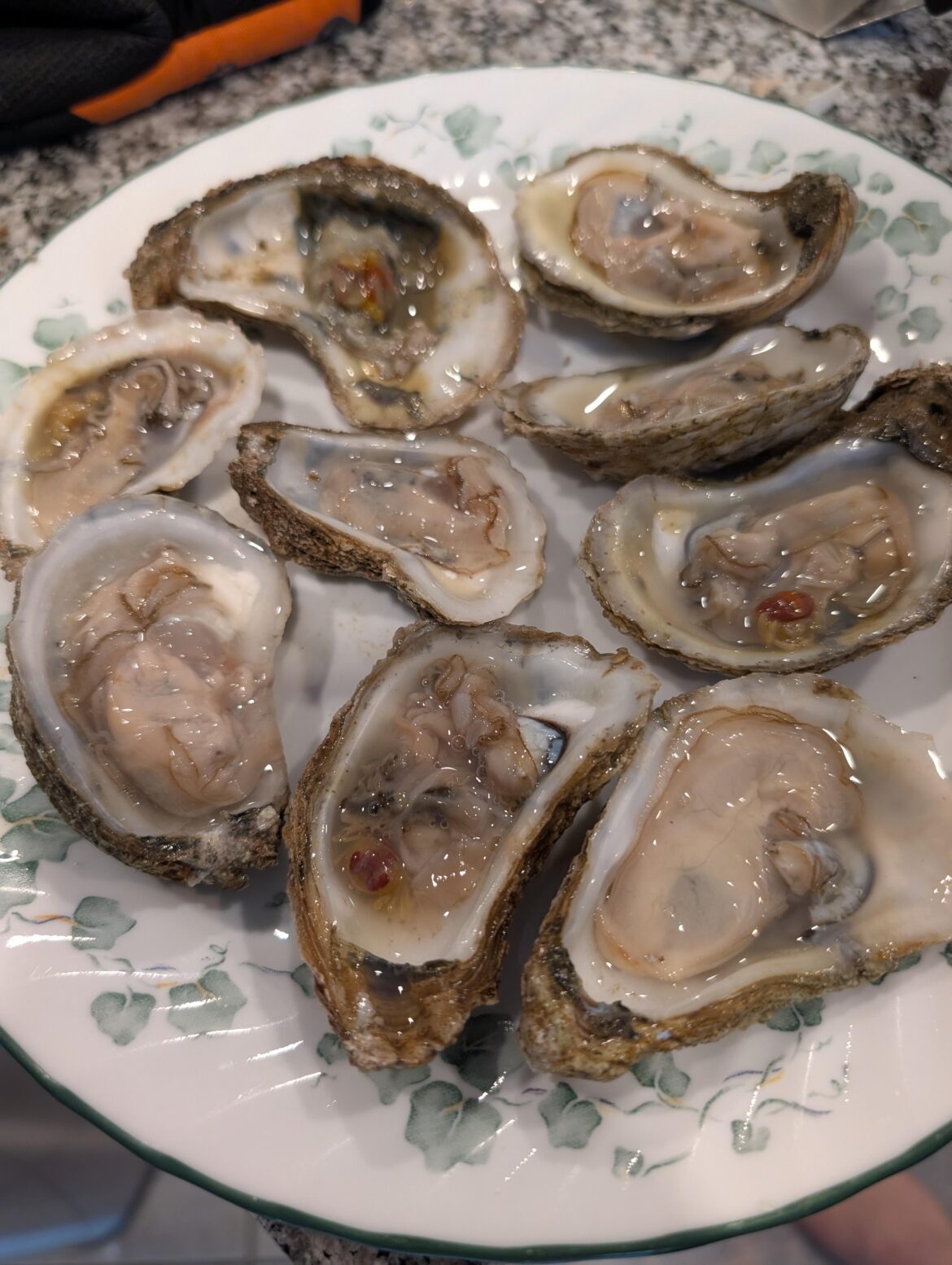 4/9 of my oysters had pea crabs!