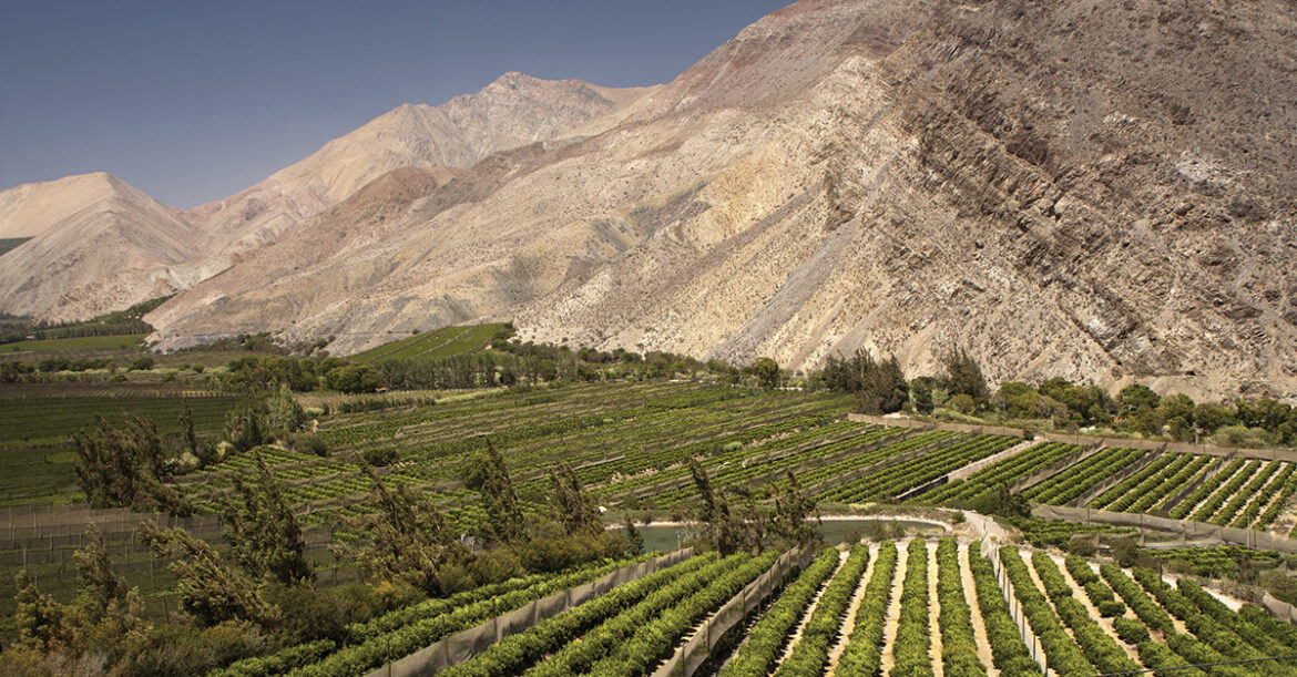 Wine 101: Chile | VinePair