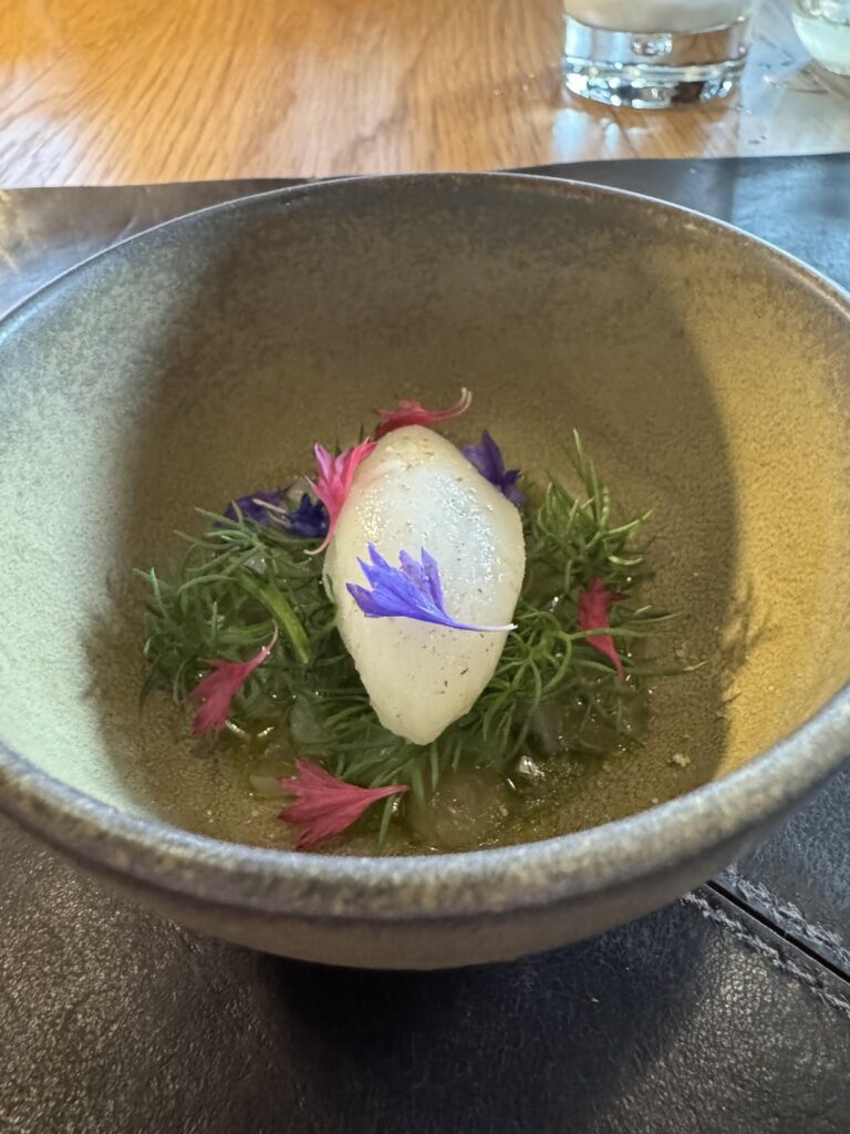 The Wolf’s Tailor 6.17.25