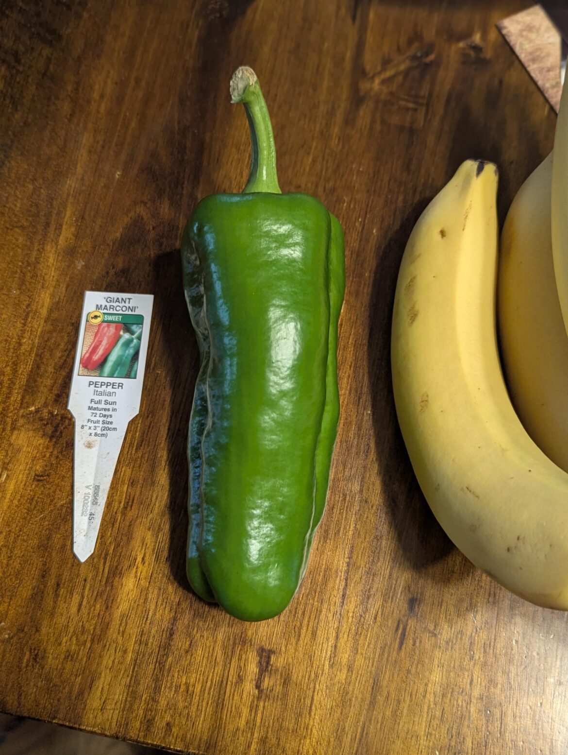 How to best enjoy a Giant Marconi