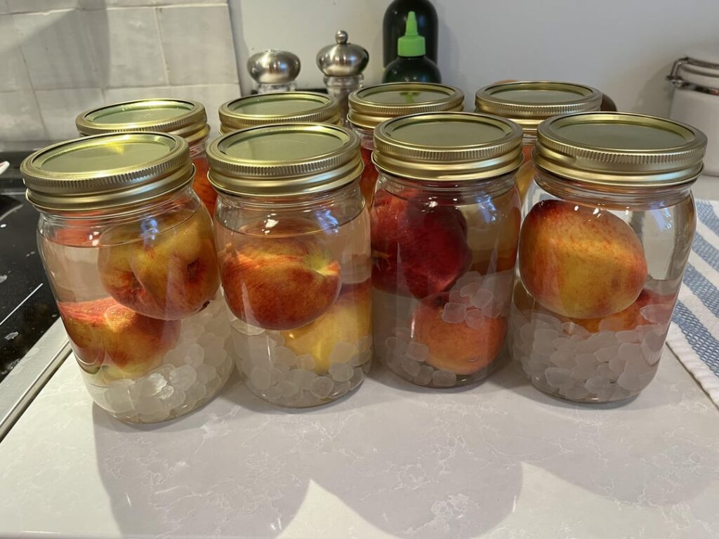 Peach Umeshu Experiment