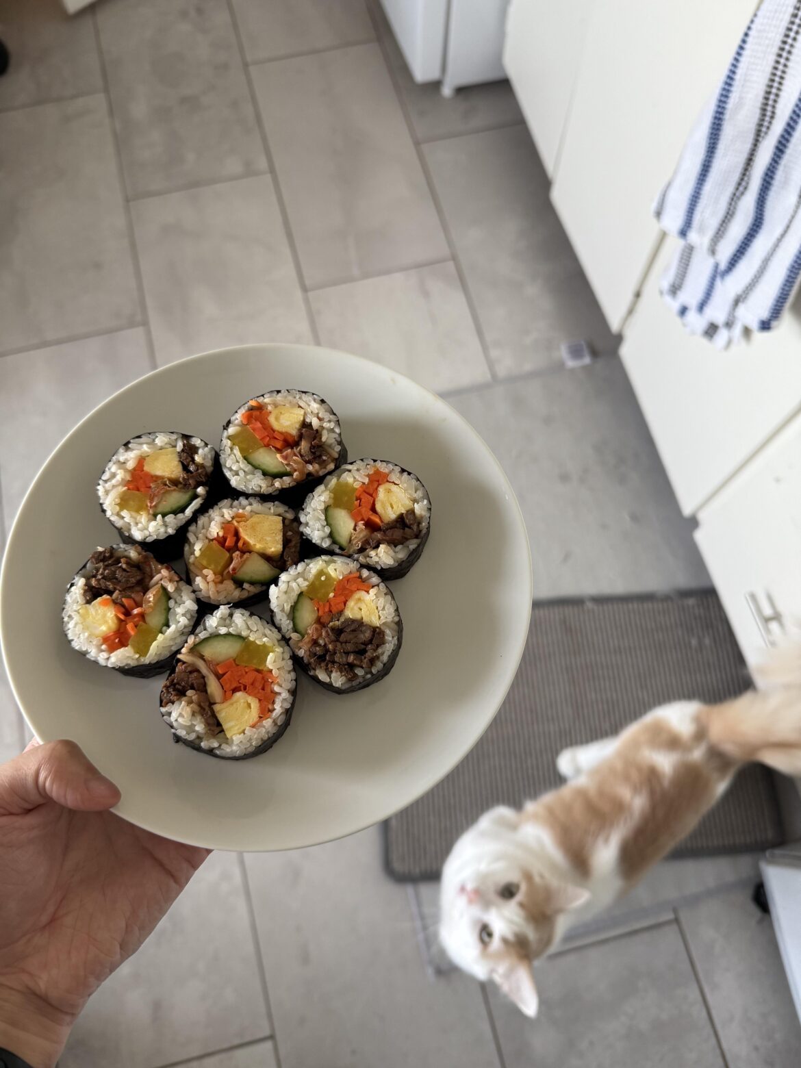 First time making kimbap! Ft. My sous chef