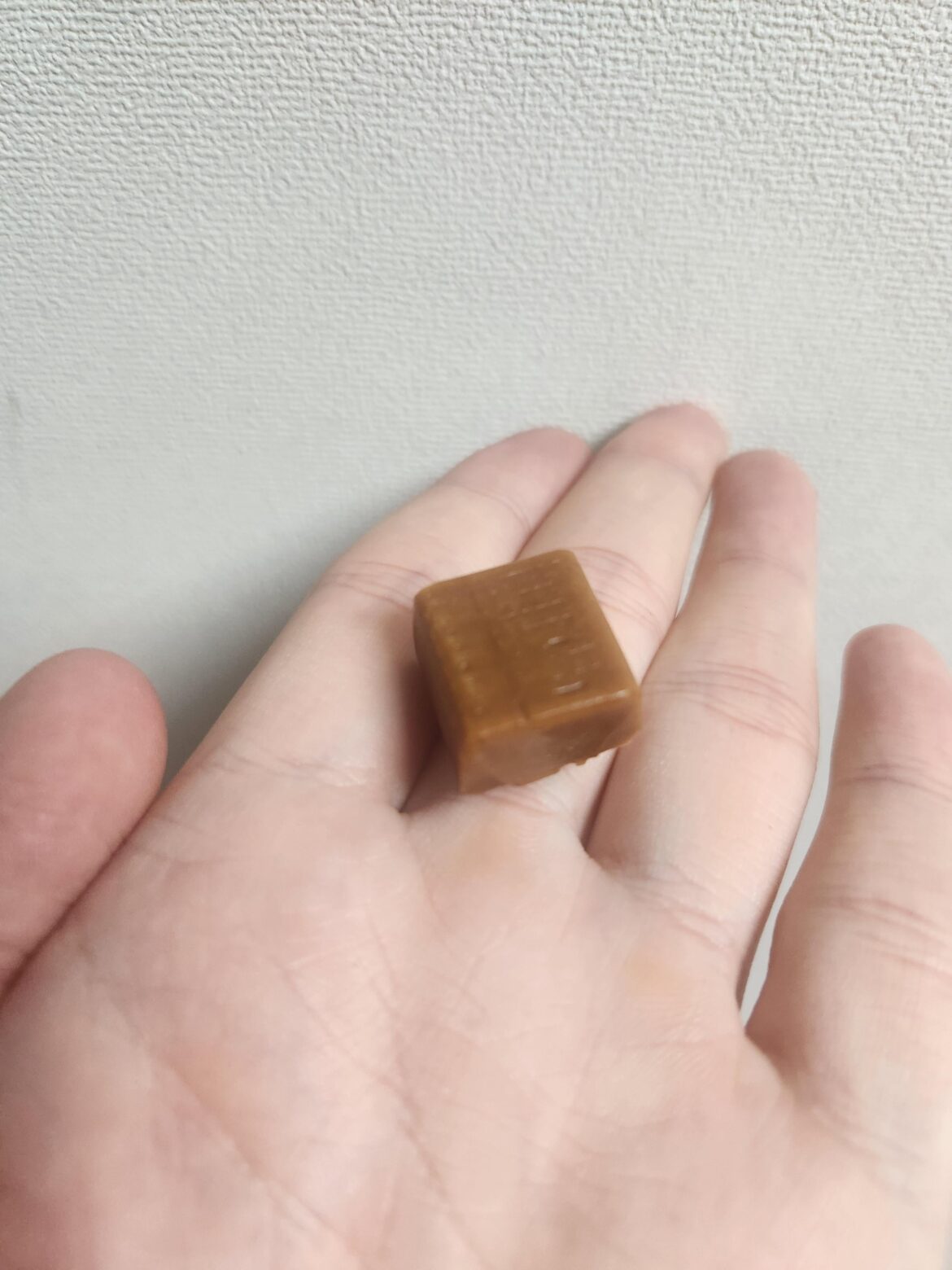 Do you guys like normal caramel or salted caramel?