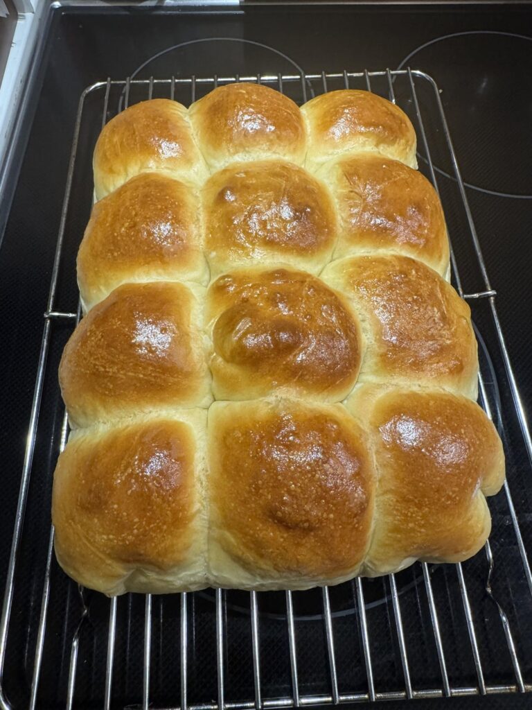 Sourdough Discard Rolls – 1.5 Hour Prep Time Sourdough Discard Rolls - 1.5 Hour Prep Time