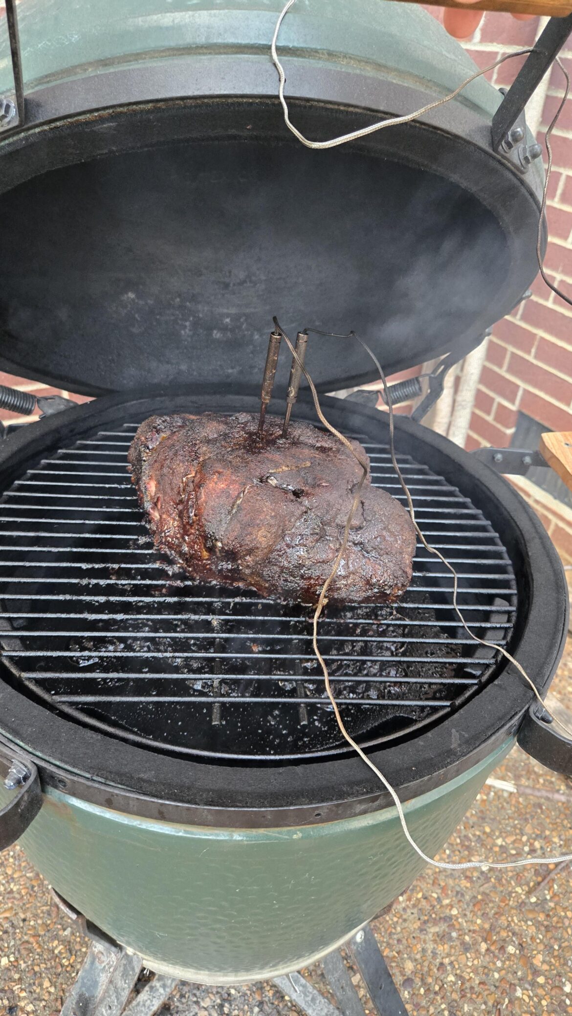 Newbie Boston Butt Newbie Boston Butt